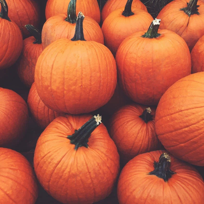 Stack of orange pumpkins with green stems