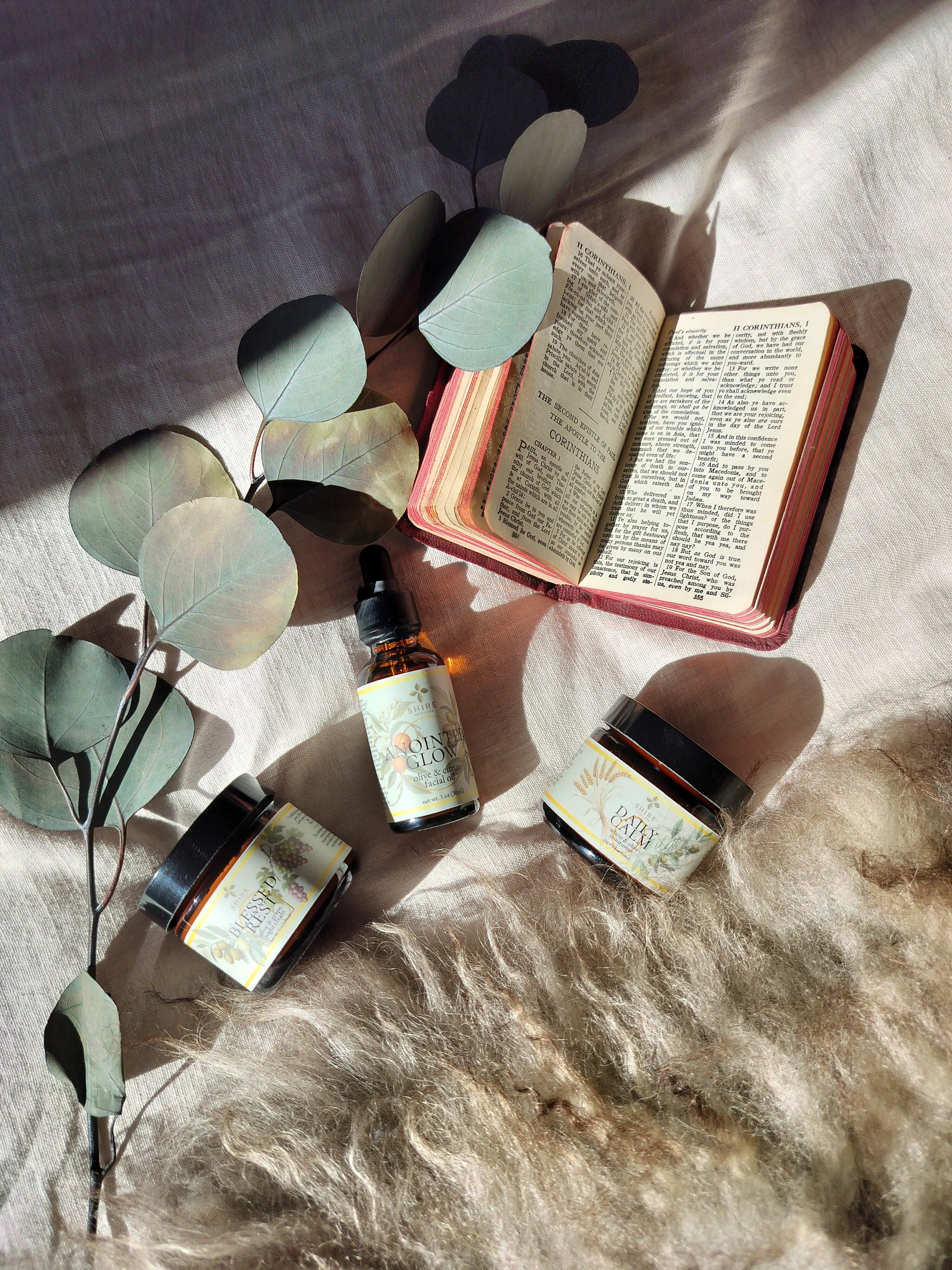Biblical Skincare bottles in the sunlight with an open Bible.